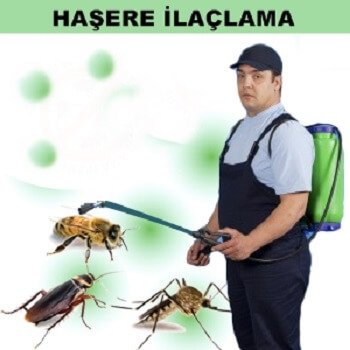 Yeşilova Böcek İlaçlama